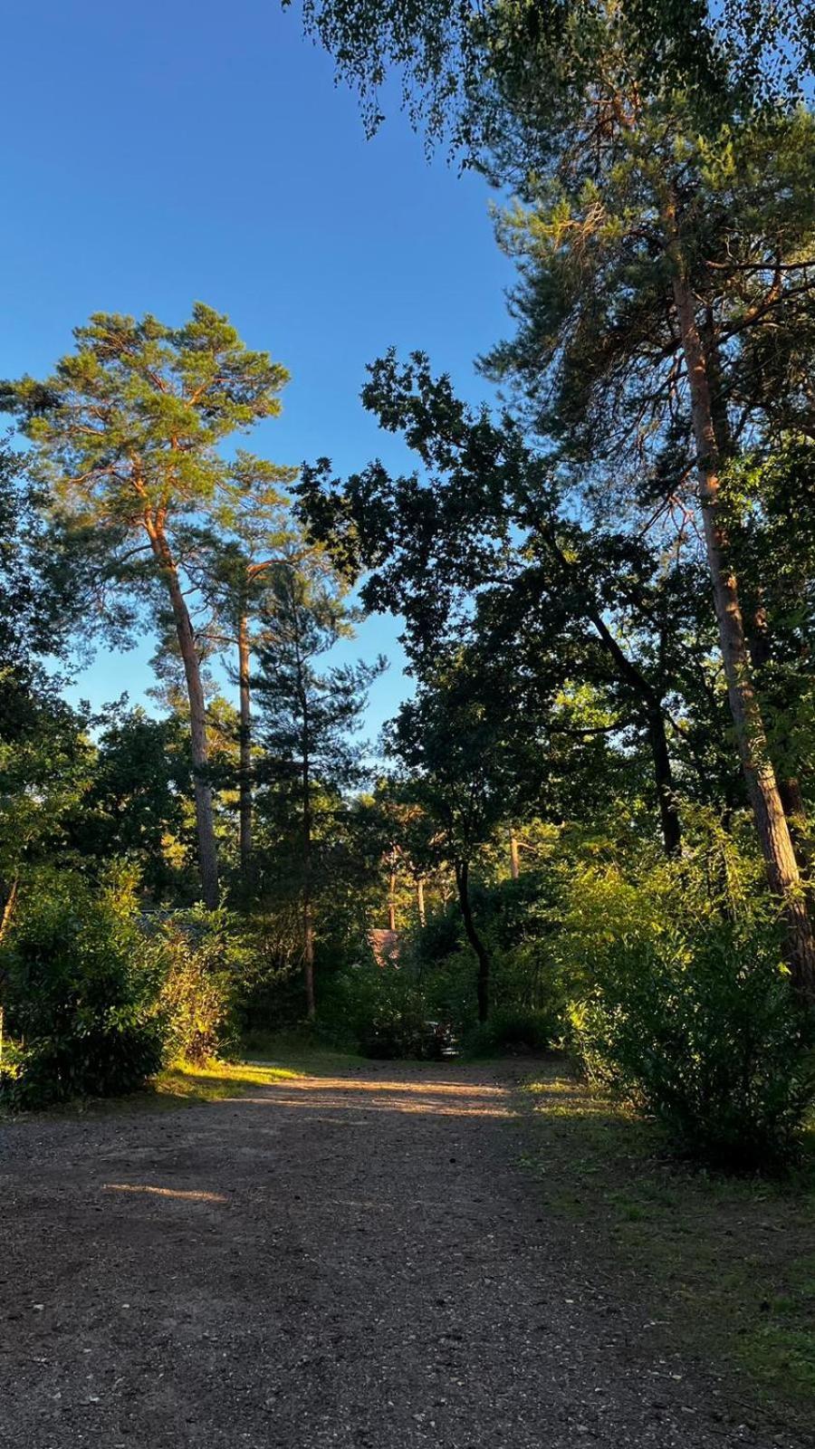 נונספייט Vakantiehuis Vliegend Hert Veluwe מראה חיצוני תמונה