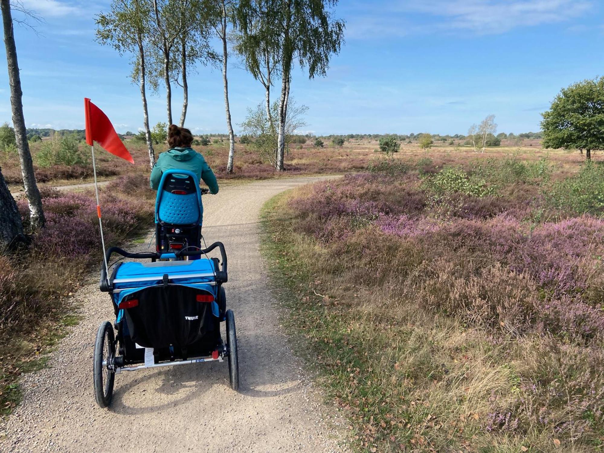 נונספייט Vakantiehuis Vliegend Hert Veluwe מראה חיצוני תמונה